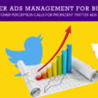 How Twitter Ads Management Benefits Business